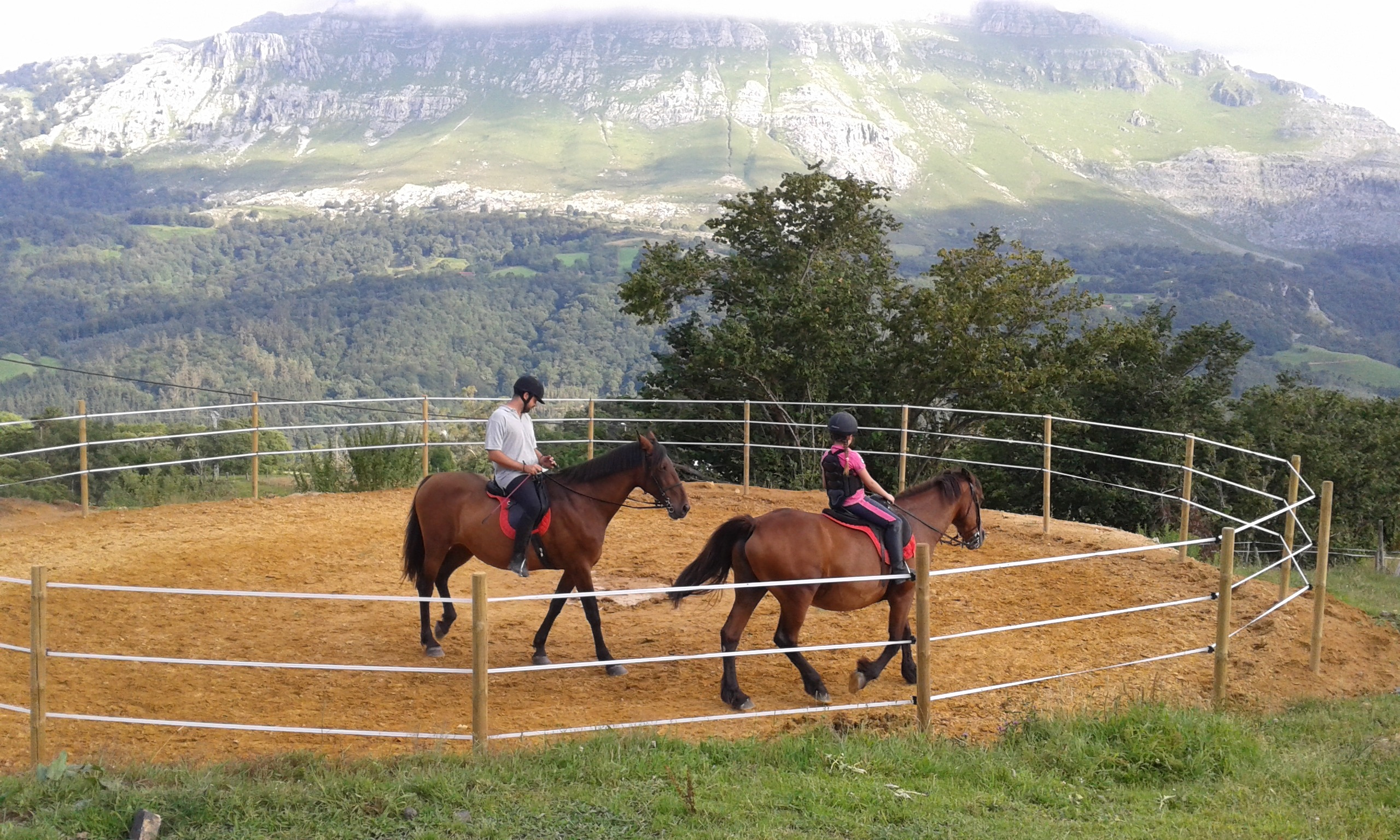Finca con caballos en Arredondo